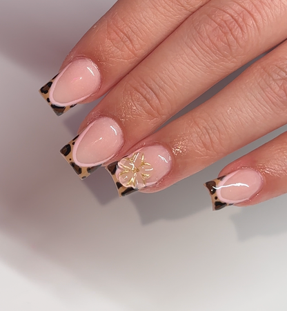 Iconic Nude: Updated Formula!